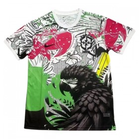 Nogometni Dres Brazil x Parrot 2025 poseban