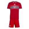 Dječji Nogometni Dres Wales Domaći SP 2026