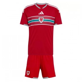 Dječji Nogometni Dres Wales Domaći SP 2026