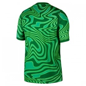Nogometni Dres Brazil Golmanski Domaći SP 2026 Zelena