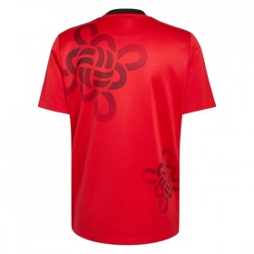 Nogometni Dres Manchester United Cultural Story 2025-26