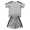 Dječji Nogometni Dres Real Madrid Golmanski 2026-27 Siva