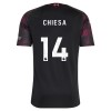 Dječji Nogometni Dres Liverpool Chiesa 14 Treći 2026-27